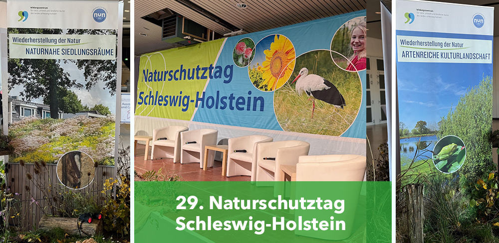 29. Naturschutztag Schleswig-Holstein: Wiederherstellungsverordnung zum Erhalt der Schöpfung