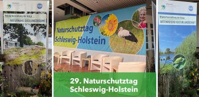 29. Naturschutztag Schleswig-Holstein: Wiederherstellungsverordnung zum Erhalt der Schöpfung